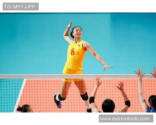 深度分析杭州排球队转换打法的战术优势与应用策略