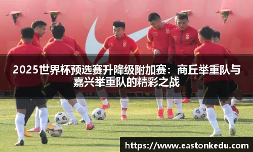 必博bibo官网