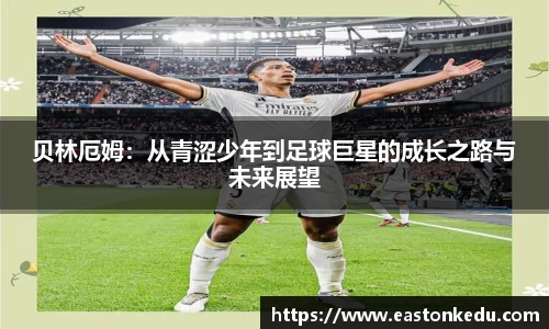 必博bibo官网