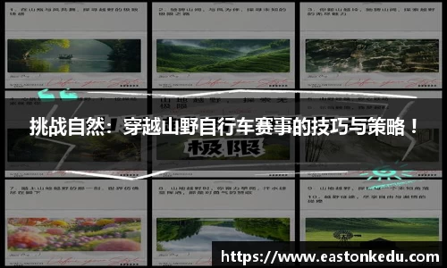 必博bibo体育